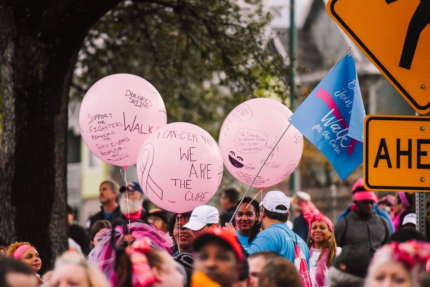 Susan G. Komen - Race for the Cure